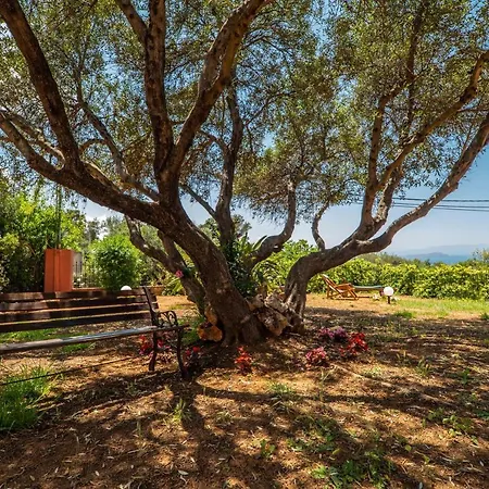 Villa Silva, Garden & Sea View, 3 Bedroom -10 Min Drive From Center Chania  Exterior photo